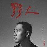 银河静默如谜-cover