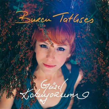 Kül Rengi-cover