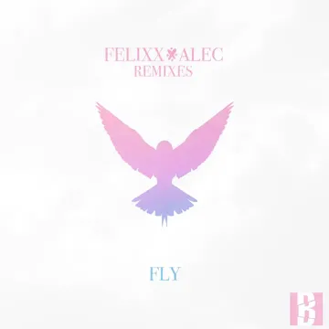 Fly (A-Shuffle Remix)-cover