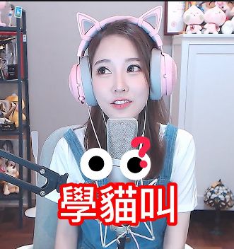 学猫叫-cover