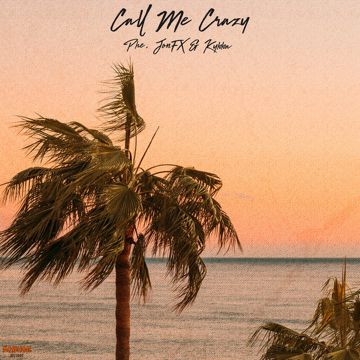 Call Me Crazy-cover