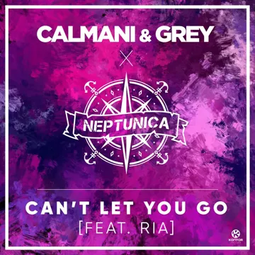 Can't Let You Go (feat. Ria) [Extended Mix]-cover