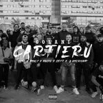Cartieru-cover