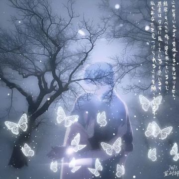 幻蝶戀-cover