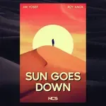 Sun Goes Down-cover