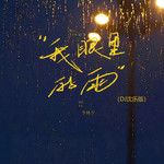 我眼里的雨(DJ沈乐版)(DJ版)
