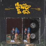 VENGASE PA ACA-cover