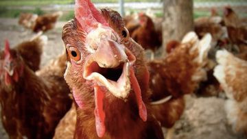 Chicken Fried (Good Version)-cover