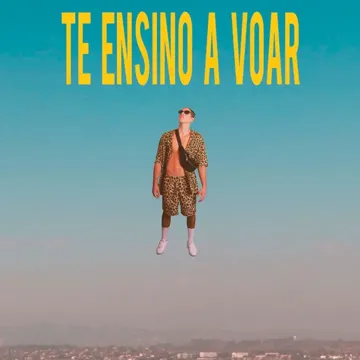 Te Ensino a Voar-cover