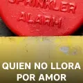 Quien No Llora Por Amor