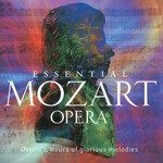 Mozart: Don Giovanni, ossia Il dissoluto punito, K.527 - Act 1 - "Batti, batti, o bel Masetto"-cover