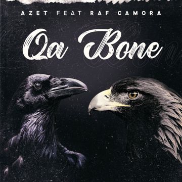 Qa bone-cover