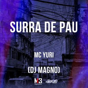 Surra de Pau-cover