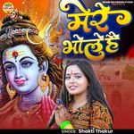 Mera Bhole Hai-cover