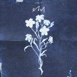 정리-cover
