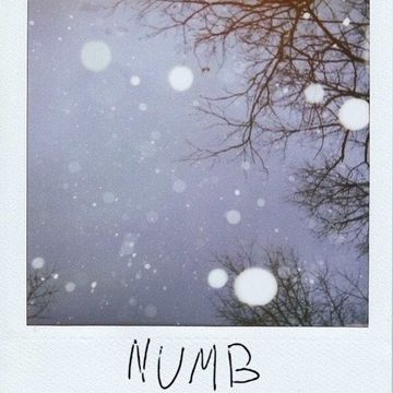 Numb-cover