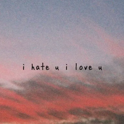 Sae Just Sang The Song I Hate You I Love You How Can The Voice Be So Amazing Sae Just Sang The Song I Hate You I Love You How Can The Voice Be So Amazing