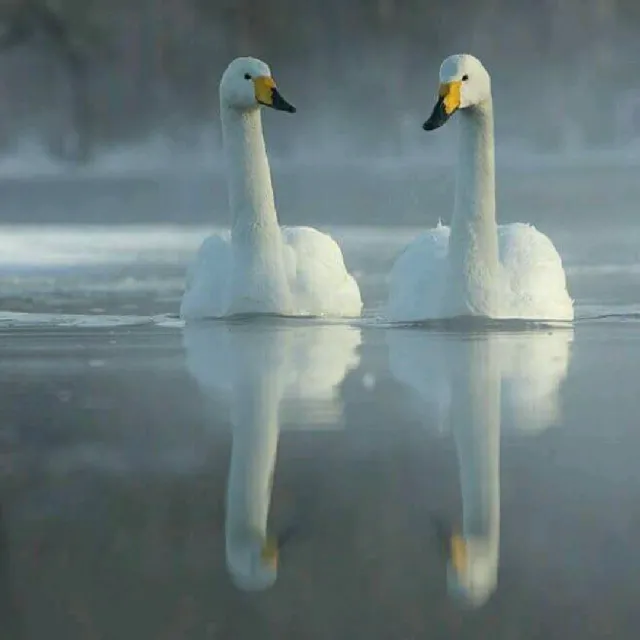 Aamir Kashmiri Nnn Just Sang The Song Dil Lagane Ki Saza To Na Doge Tum Ek Rishta How Can The Voice Be So Amazing Dil lagane ki na do saza anmol manshah mohsin from chak no 116/12.l kassowal www.manshahmohsin.piczo.com. starmaker