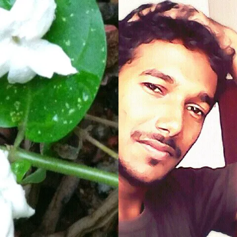 Shebinmuhammad Just Sang The Song Kannondu Chollanu Ennu Ninte Moideen How Can The Voice Be So Amazing Ringtone kannondu chollanu can be downloaded free of charge and without registration. starmaker